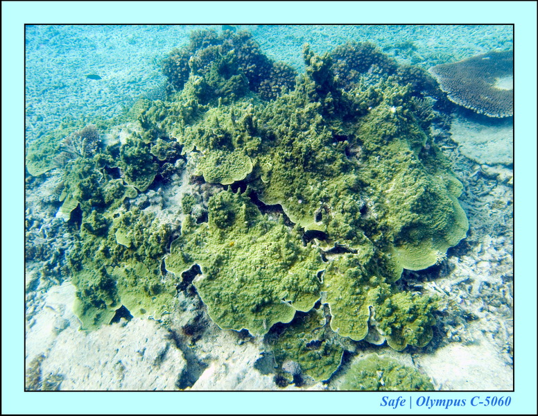 2008 - 07 - Leng Tengah - 105